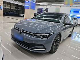 大众 高尔夫 2023款 280TSI DSG Pro