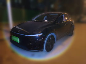 特斯拉 Model Y 2025款 改款 长续航全轮驱动版