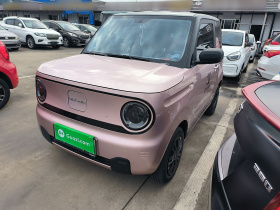 吉利银河 2023款 熊猫mini 200km 耐力熊