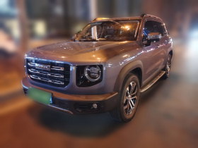 哈弗大狗 2021款 1.5T DCT两驱马犬-旺财版