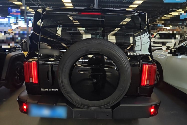 坦克300 2024款 2.0T 挑战者车身外观6