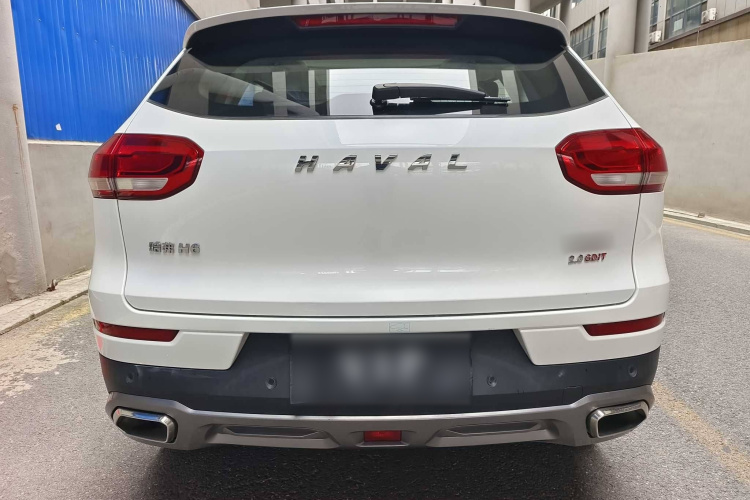 哈弗H6 2020款 2.0GDIT 自动铂金豪华版车身外观6004