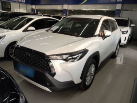 丰田 卡罗拉锐放 2024款 2.0L 先锋版