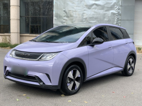 比亚迪 海豚 2023款 420km 时尚版