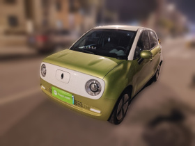 欧拉黑猫 2021款 301km 基础型