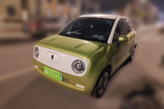 欧拉黑猫 2021款 301km 基础型