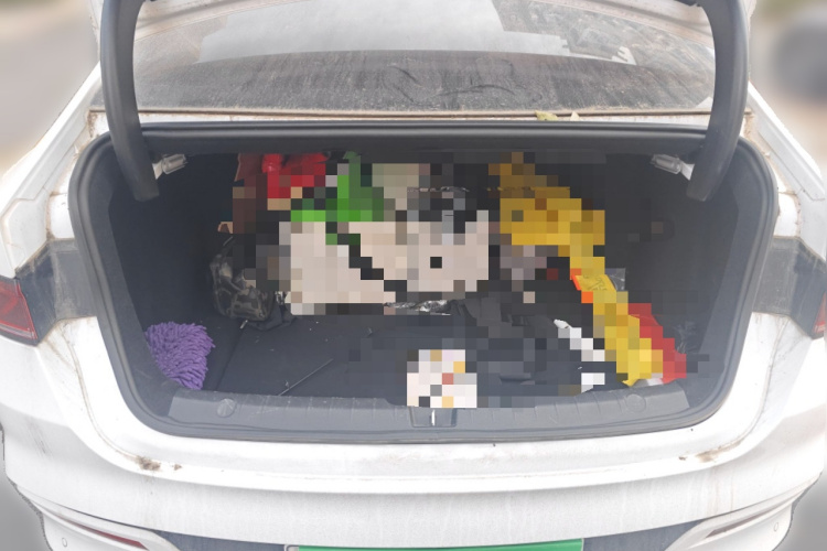 比亚迪 秦PLUS 2021款 EV 500KM 尊贵型局部细节23