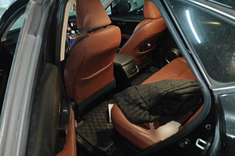 雷克萨斯NX 2015款 200t 全驱 锋尚版中控内饰21