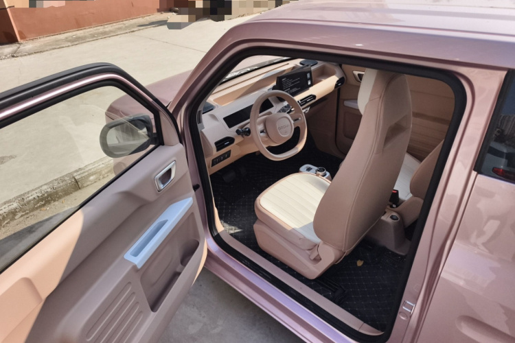 吉利银河 2024款 熊猫mini 200km 耐力熊中控内饰20