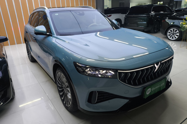 岚图汽车 岚图FREE 2021款 四驱标准增程专属豪华套装车身外观3