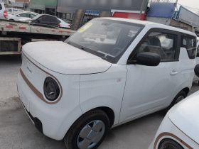 吉利银河 2024款 熊猫mini 200km 耐力熊