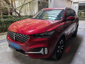 魏牌 VV6 2020款 2.0T 四驱智驭+