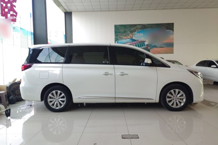 广汽传祺 传祺M8 2020款 390T 尊享版车身外观6002