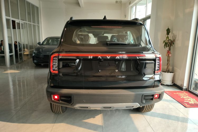 哈弗大狗 2024款 1.5T DCT边牧版车身外观6