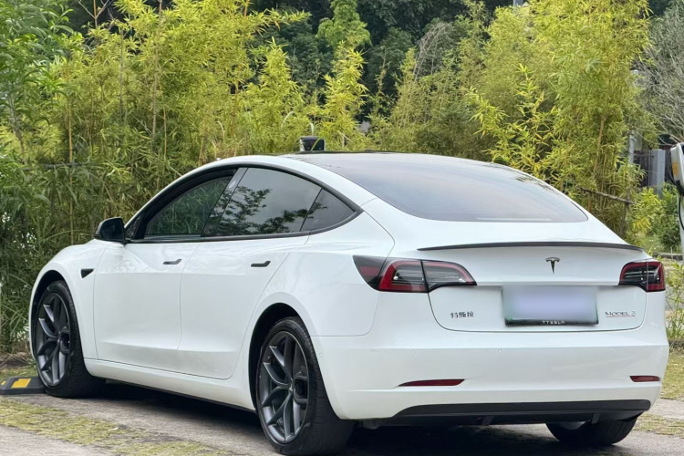 特斯拉 Model 3 2022款 Performance高性能全轮驱动版车身外观6006
