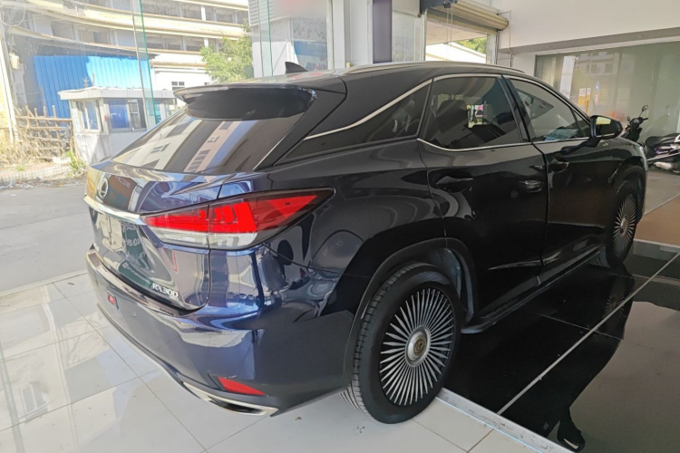 雷克萨斯RX 2020款 改款 300 四驱典雅版车身外观6005