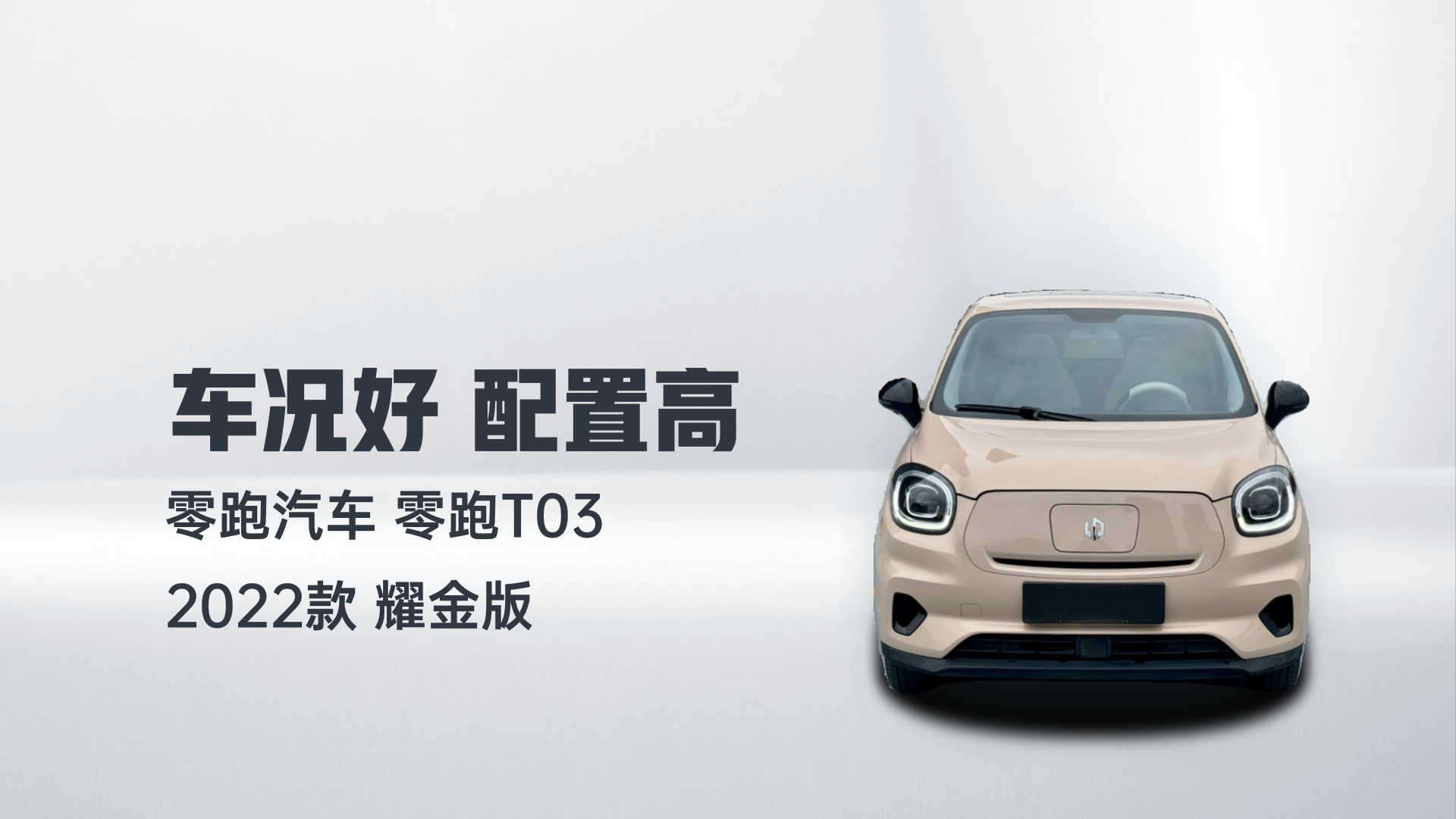 零跑汽车 零跑T03 2022款 耀金版解读1