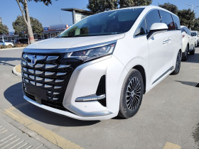 腾势D9 2022款 DM-i 1040 尊贵型