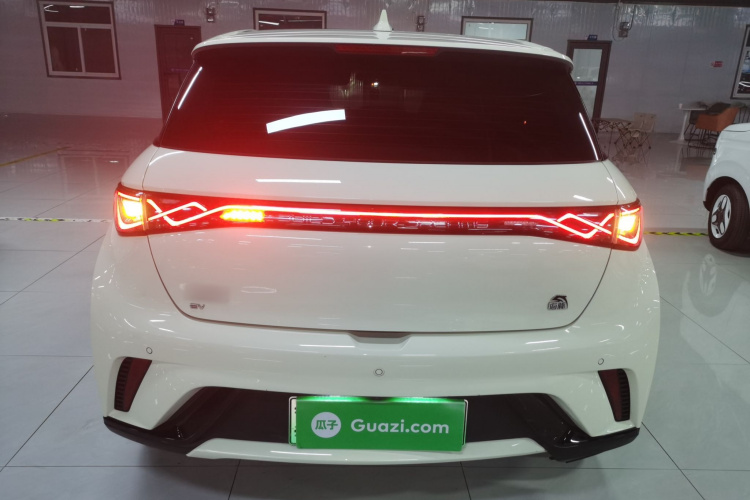 比亚迪 海豚 2021款 405km 时尚版车身外观6