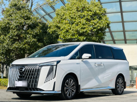 广汽传祺 传祺M8 2024款 大师系列 400T 至尊版