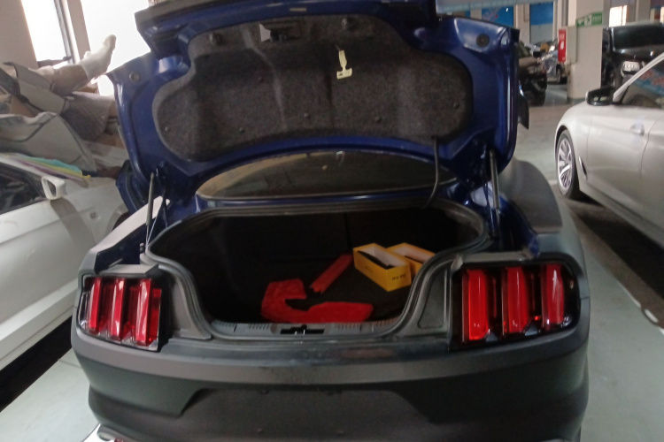 福特Mustang（平行进口） 局部细节23