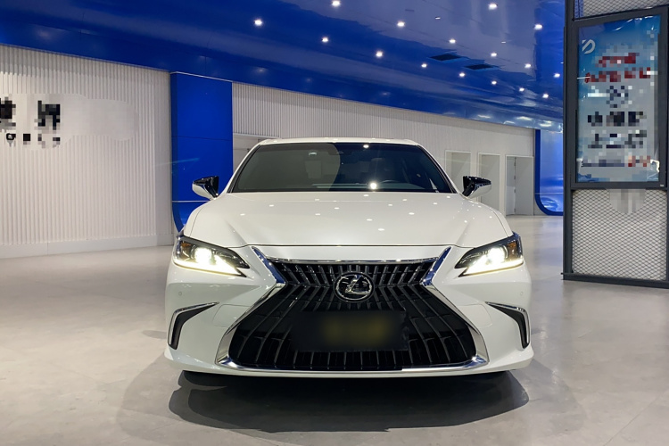 雷克萨斯ES 2022款 200 卓越版车身外观6001