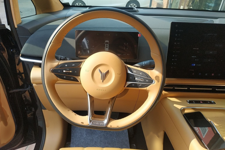 岚图汽车 岚图梦想家 2025款 PHEV 四驱旗舰鲲鹏版局部细节13