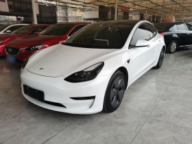 特斯拉 Model 3 2021款 改款 标准续航后驱升级版 3D1