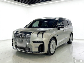 极氪009 2022款 WE版