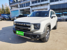 哈弗大狗 2024款 1.5T DCT边牧版