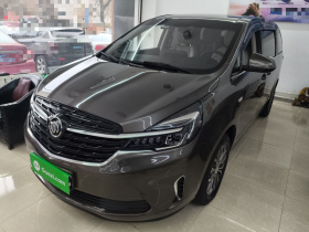 别克GL8 2022款 陆上公务舱 652T 舒适型