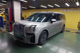 极氪009 2022款 WE版