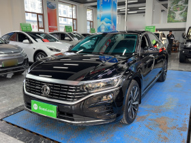 大众 帕萨特 2023款 改款 330TSI 精英版