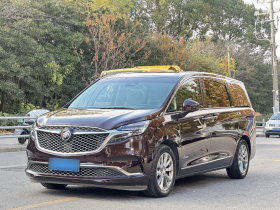 别克GL8 2020款 Avenir艾维亚 六座贤礼版