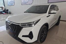 奇瑞 瑞虎8 PRO 2025款 290T 两驱豪华版