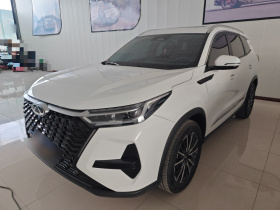 奇瑞 瑞虎8 PRO 2025款 290T 两驱豪华版