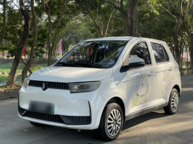 凌宝汽车 凌宝COCO 2021款 联盟Pro版