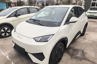 比亚迪 海鸥 2025款 智驾版 305km 活力版