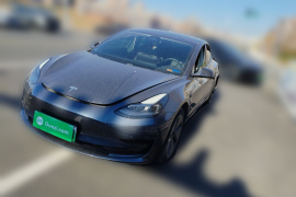 特斯拉 Model 3 2021款 标准续航后驱升级版