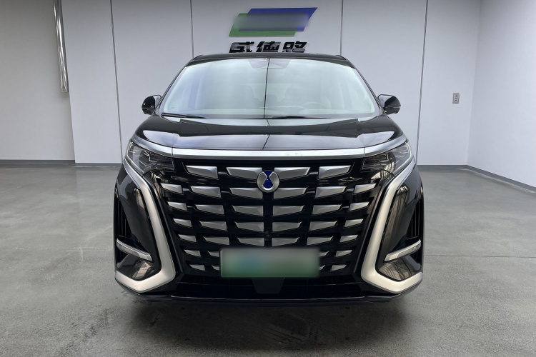 腾势D9 2022款 DM-i 970 四驱旗舰型车身外观6001