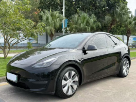 特斯拉 Model Y 2021款 长续航全轮驱动版 3D7