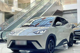 比亚迪 海鸥 2023款 自由版