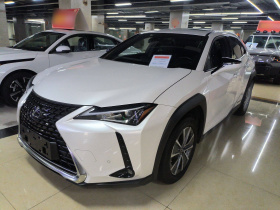 雷克萨斯UX新能源 2020款 300e 纯·悦版