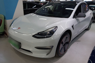 特斯拉 Model 3 2021款 标准续航后驱升级版 3D6