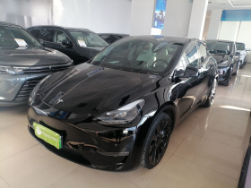 特斯拉 Model Y 2021款 Performance高性能全轮驱动版