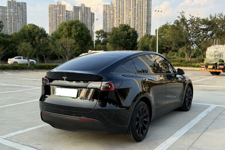 特斯拉 Model Y 2021款 标准续航后驱版车身外观6004