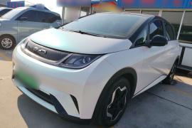 比亚迪 海豚 2021款 405km 时尚版