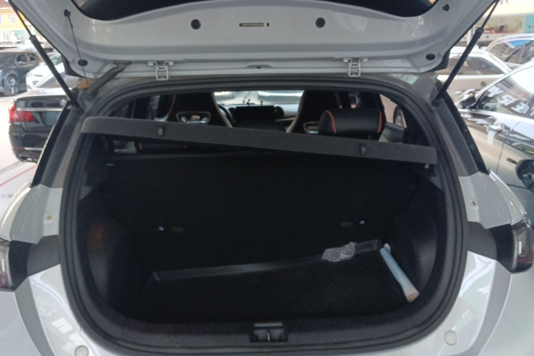 比亚迪 海豚 2021款 405km 自由版局部细节23