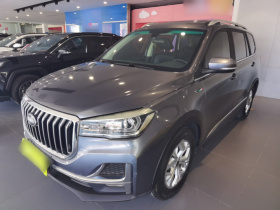 SWM斯威汽车 SWM斯威G05 2019款 1.5T 自动豪华型