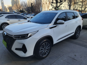 奇瑞 瑞虎8 PRO 2024款 冠军版 290T 两驱巅峰版 5座